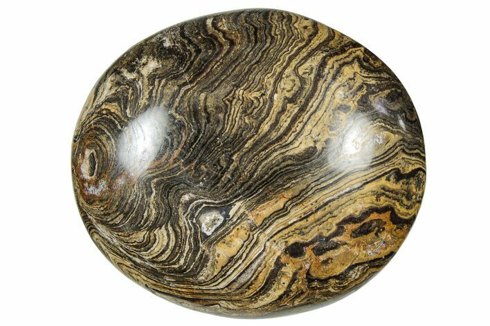 Polished Stromatolite (Greysonia) Pebble - Bolivia #302519